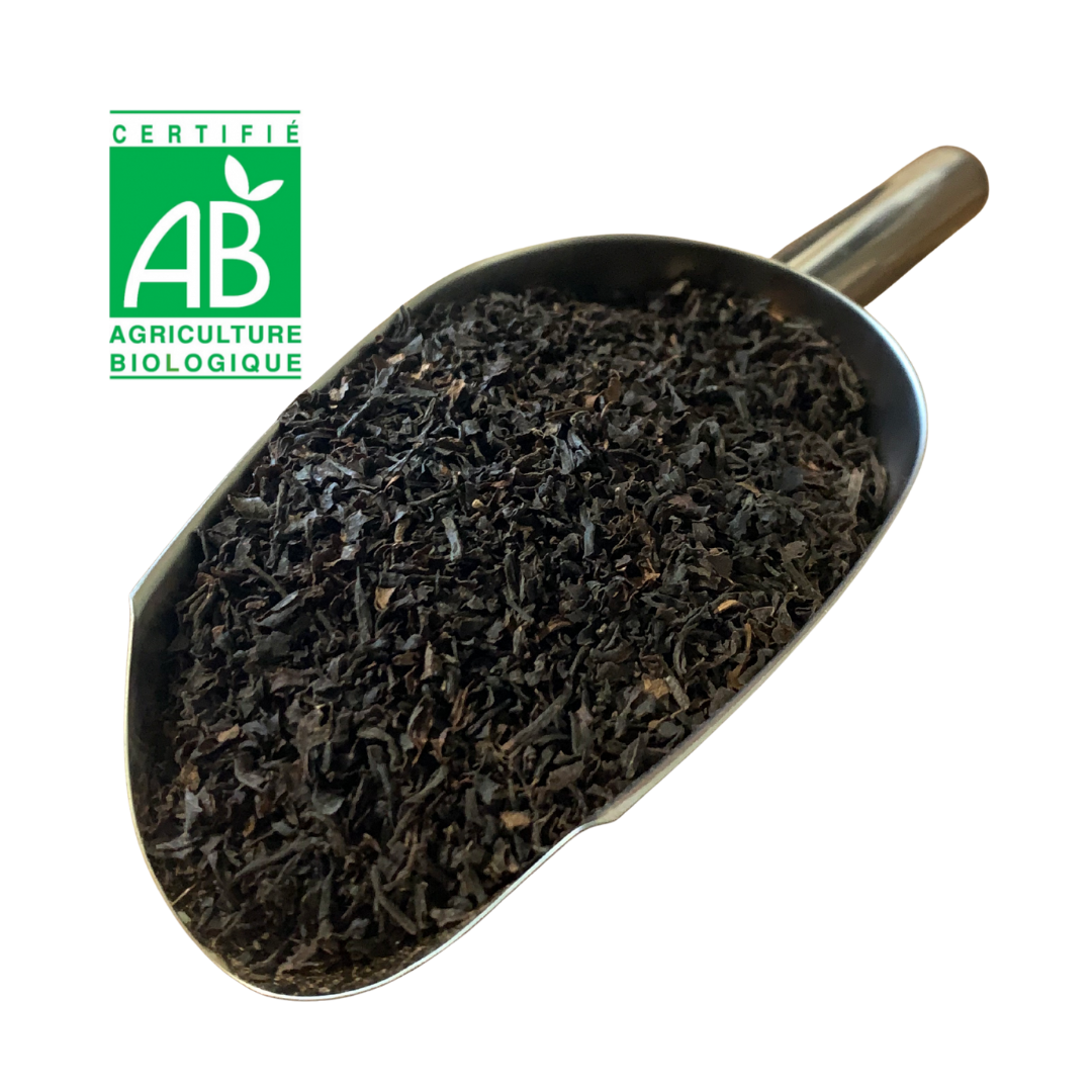 Thé noir de MOZAMBIQUE BIO
