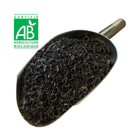 Thé noir de MOZAMBIQUE BIO