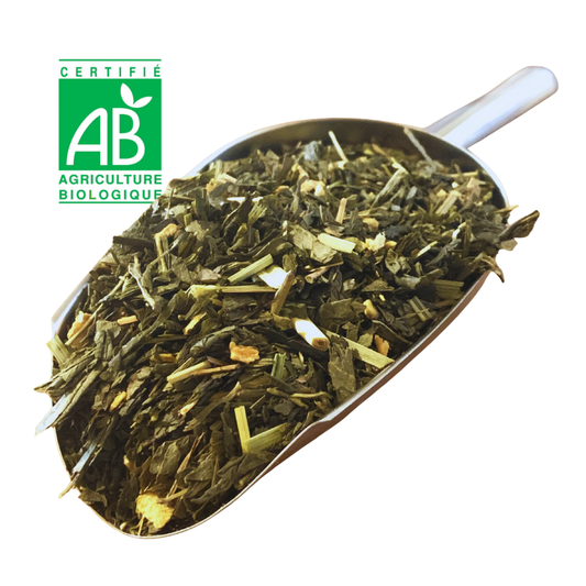 Thé vert GINGEMBRE CITRON BIO