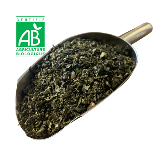 Thé vert À LA MENTHE BIO