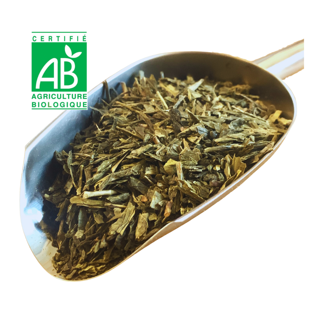 Thé vert de Chine SENCHA BIO