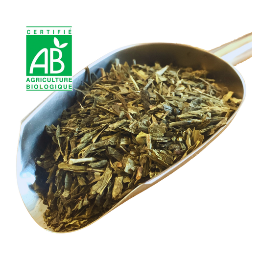 Thé vert de Chine SENCHA BIO