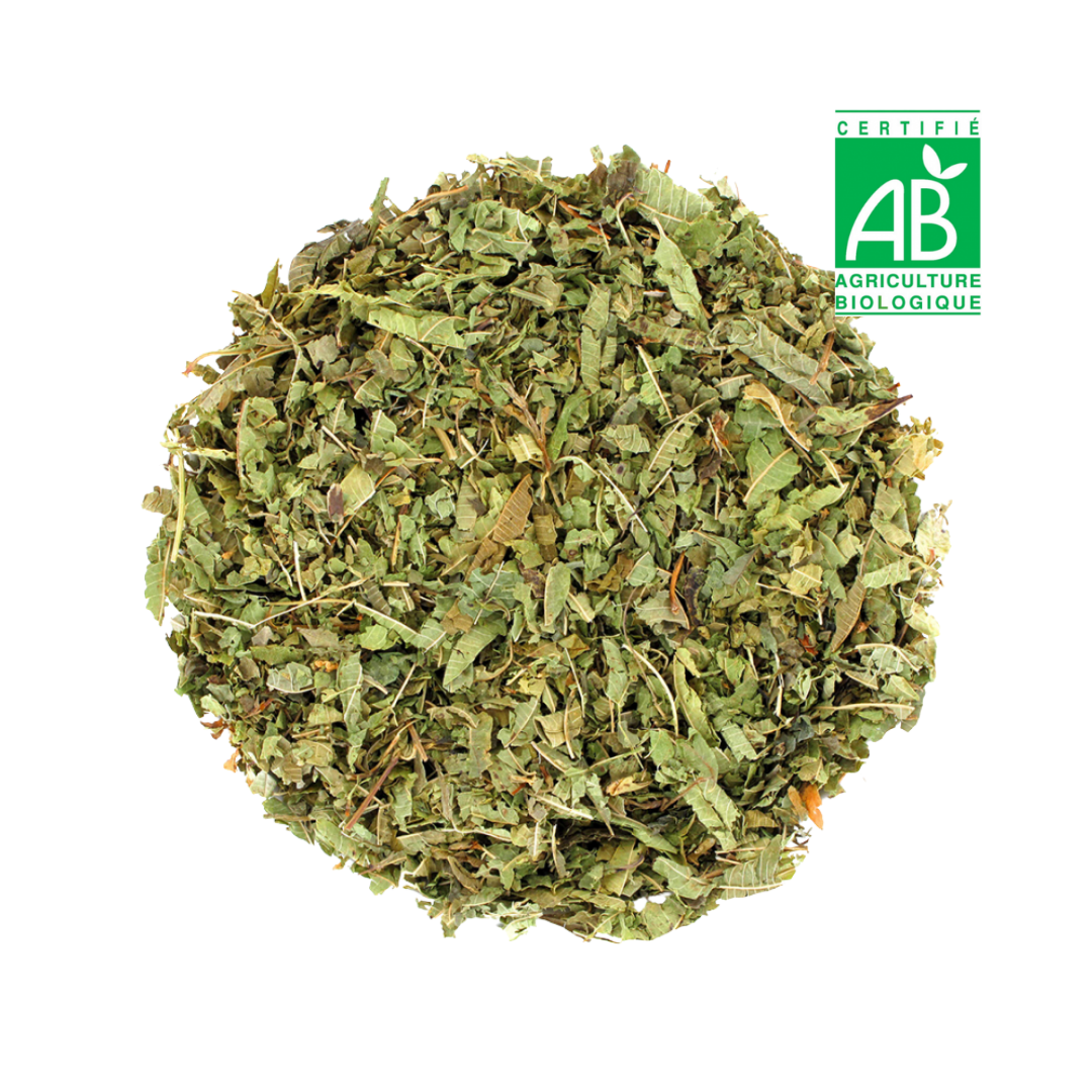 Verveine BIO