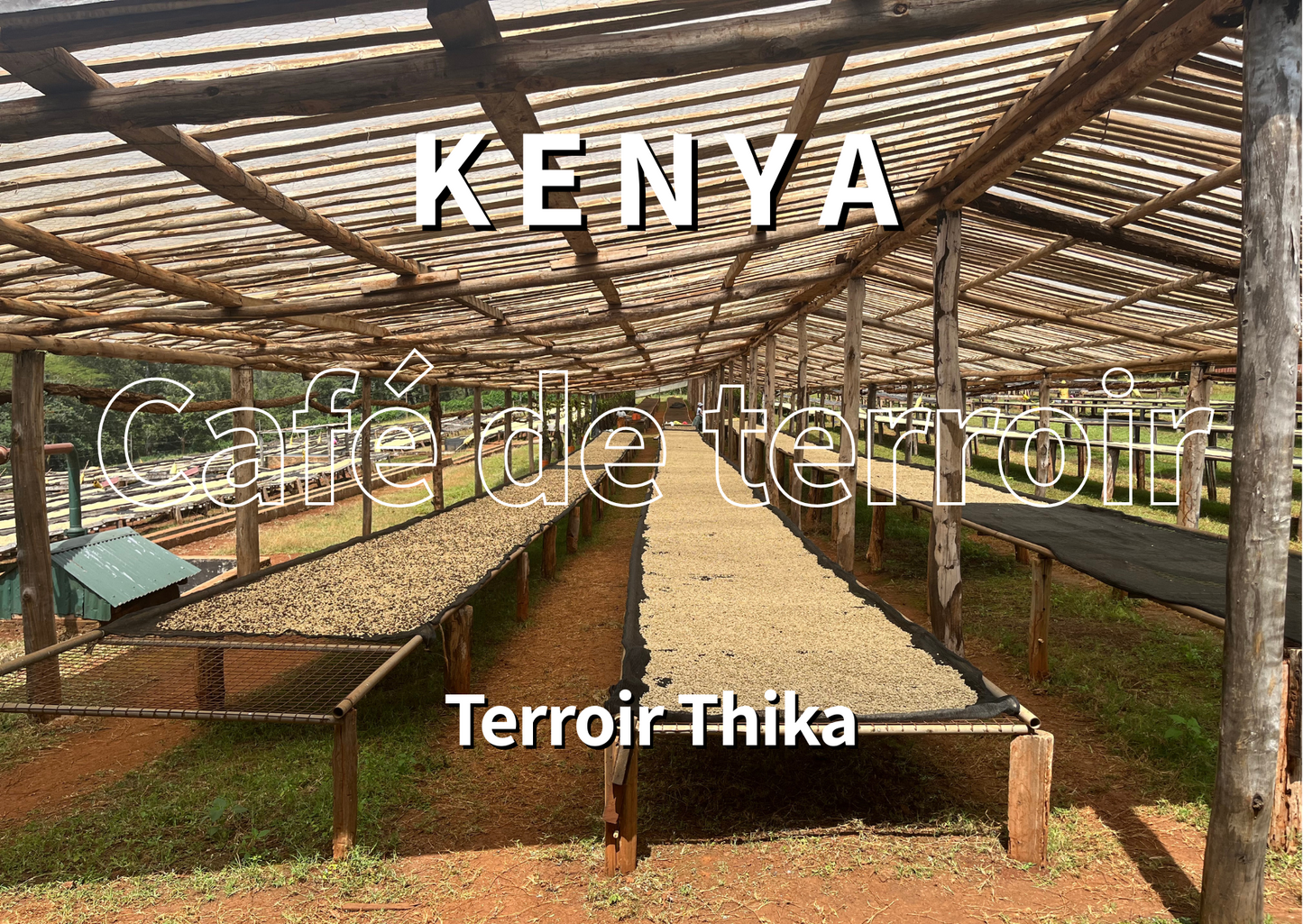 KENYA - Thika