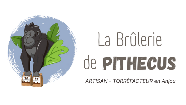 La Brûlerie de Pithecus