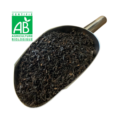 Thé noir de MOZAMBIQUE BIO