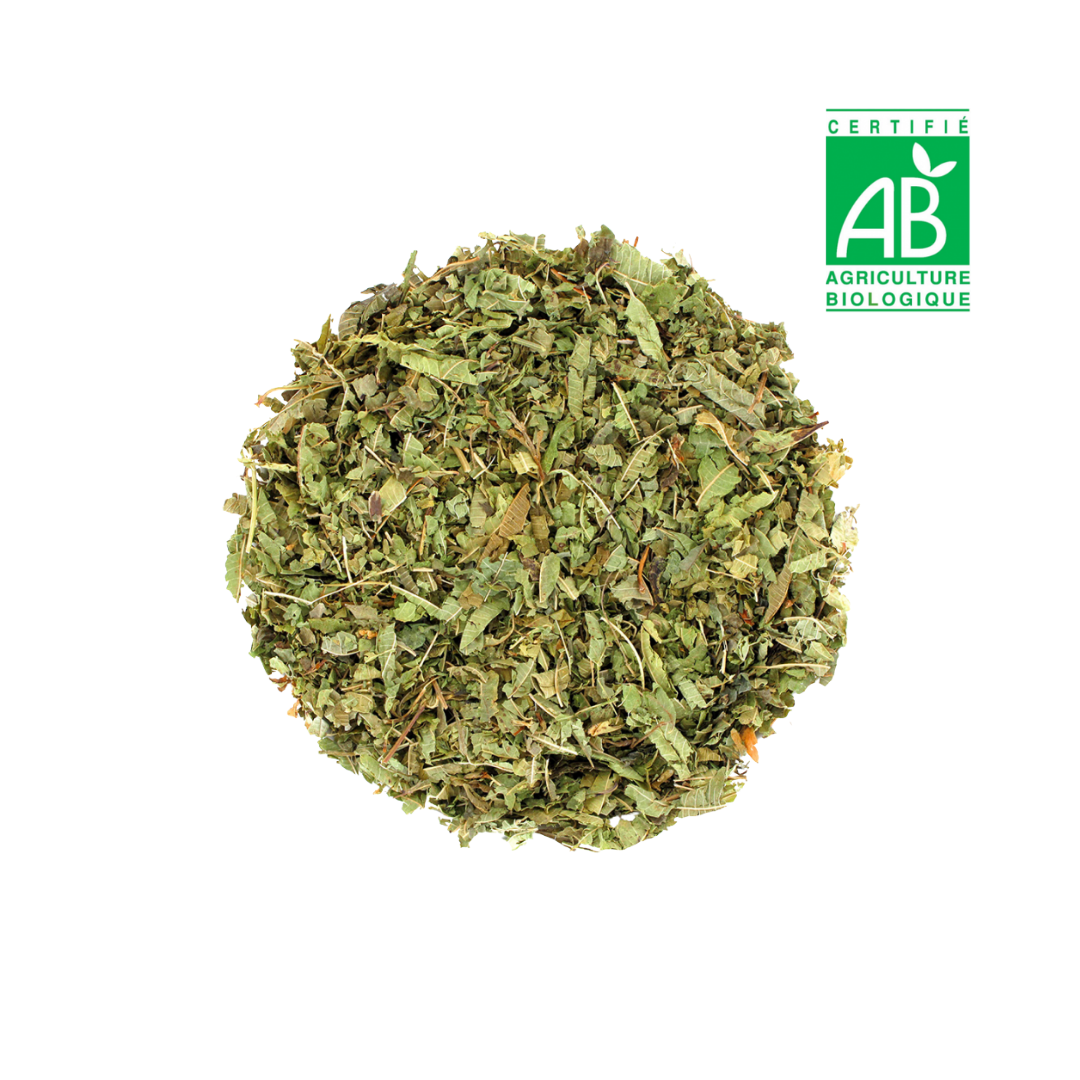 Verveine BIO