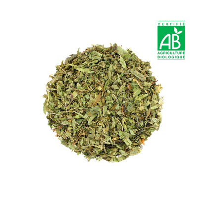 Verveine BIO
