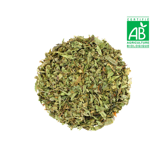 Verveine BIO