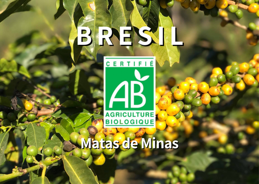 BRÉSIL - Matas de Minas BIO