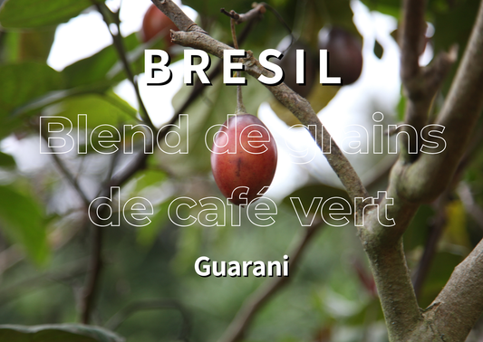 BRÉSIL - Guarani