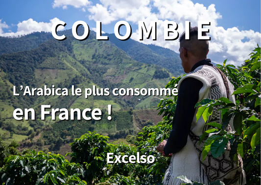 COLOMBIE - Excelso