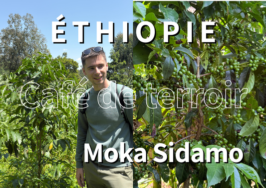 ÉTHIOPIE - Moka Sidamo