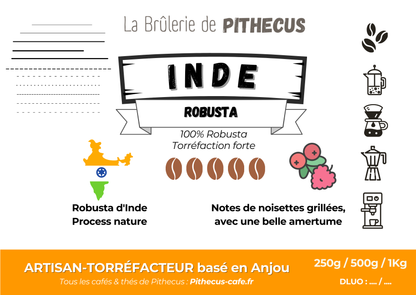 Inde - Robusta