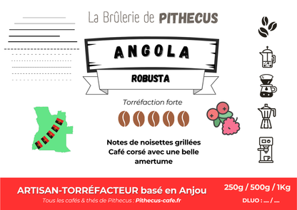 ANGOLA - Robusta