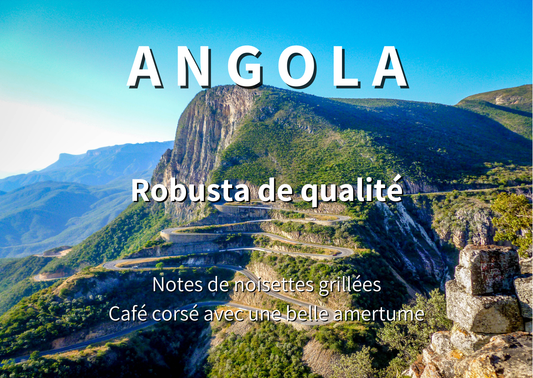 ANGOLA - Robusta