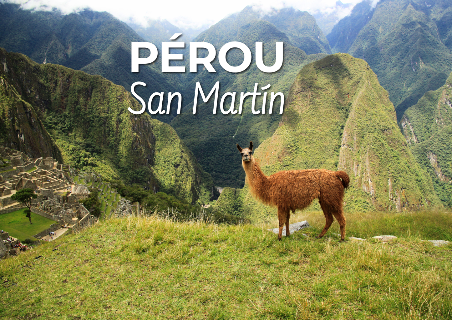 PÉROU - San Martín BIO