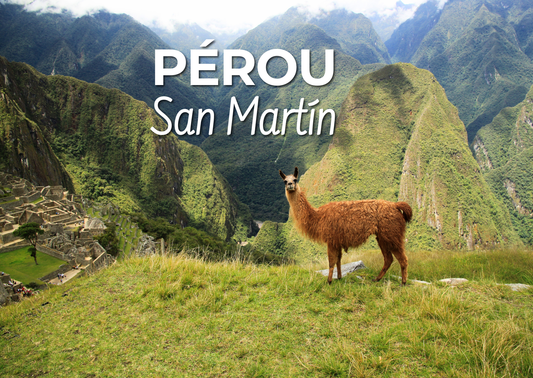 PÉROU - San Martín BIO