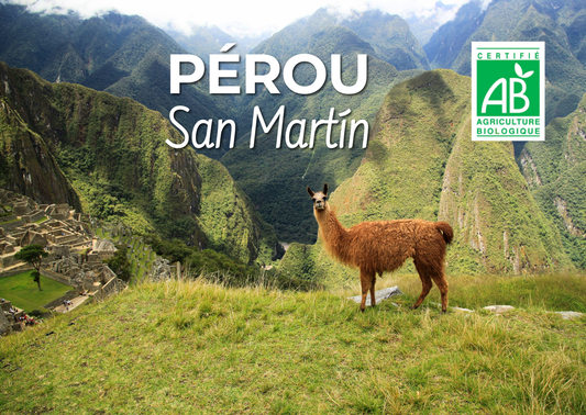 PÉROU - San Martín BIO