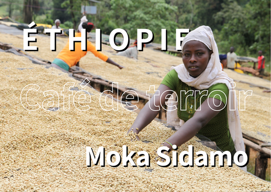 ÉTHIOPIE - Moka Sidamo