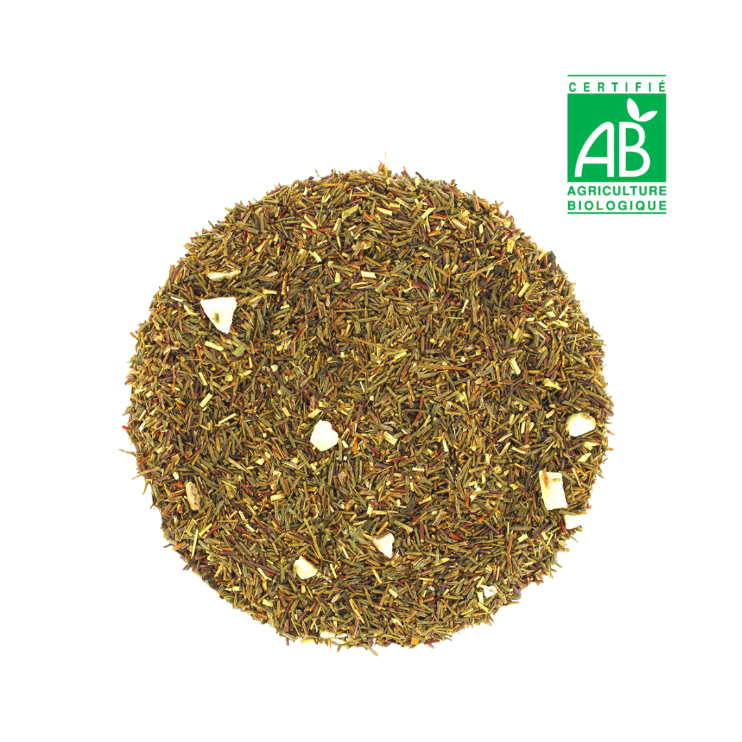 Rooibos AGRUMES BIO